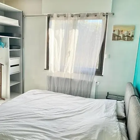 Apartment M15 Marquer T3 Proche Du Centre Annemasse
